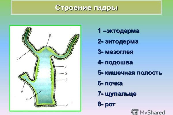 Кракен сайт ссылка онлайн